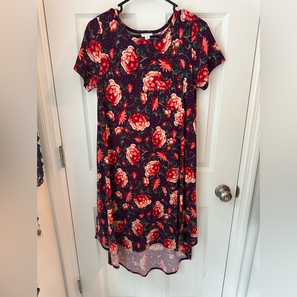 Lularoe Carly Size XS
